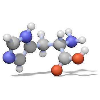 Purospher® STAR RP-18 封端 5μm Hibar® RT 100-4.6 HPLC 柱 150622 1STMerck(默克密理博)1.50622.0001